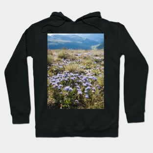 Flowers Hoodie